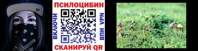 это формула  Зеленодольск  Галлюциногенные грибы прущие грибы 