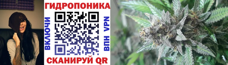 Каннабис OG Kush  ссылка на мегу рабочий сайт  даркнет Telegram  Зеленодольск 